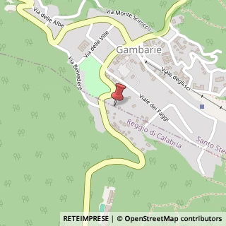 Mappa Via delle Ginestre, 8, 89057 Santo Stefano in Aspromonte, Reggio di Calabria (Calabria)