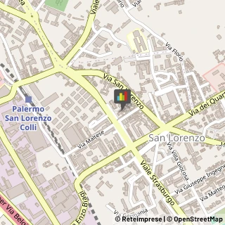 Veterinaria - Ambulatori e Laboratori,90146Palermo