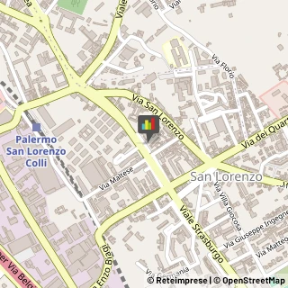 Veterinaria - Ambulatori e Laboratori,90146Palermo