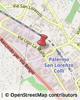 Via Ettore Maiorana, 6,90146Palermo