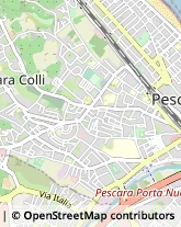 Feste - Organizzazione e Servizi Pescara,65127Pescara