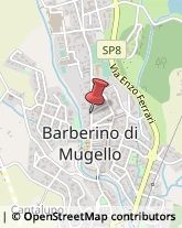 Viale della Repubblica, 37/E,50031Barberino di Mugello