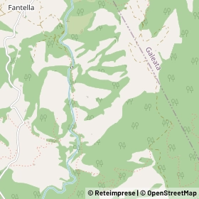 Mappa 47010