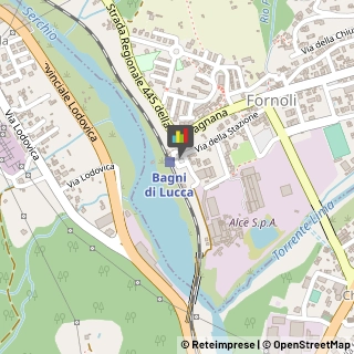 Cosmetici e Prodotti di Bellezza,55022Lucca