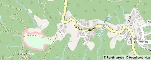 Mappa Piteglio