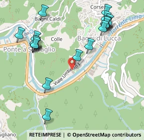 Mappa Viale Roma, 55022 Bagni di Lucca LU, Italia (0.627)