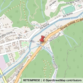 Mappa Piazza Ponte d'Oro, 6, 55023 Borgo a Mozzano, Lucca (Toscana)