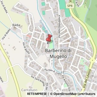 Mappa Viale della Libertà, 10, 50031 Barberino di Mugello, Firenze (Toscana)