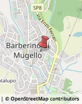 Via Primo Maggio, 8/A,50031Barberino di Mugello