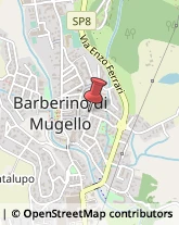 Viale I Maggio, 6,50031Barberino di Mugello