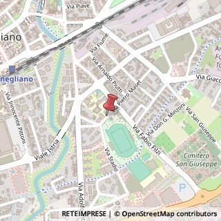 Mappa Via P. Maset, 1, 31015 Conegliano, Treviso (Veneto)