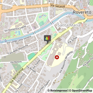 Allergologia - Medici Specialisti Rovereto,38068Trento