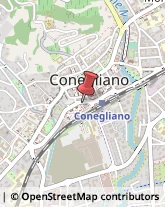 Via C. Colombo, 98,31015Conegliano