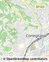 Via XXIV Maggio, 133,31015Conegliano