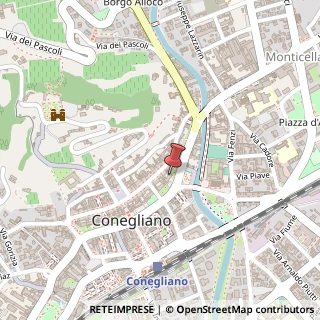 Mappa Via G. Mazzini, 45, 31015 Conegliano, Treviso (Veneto)
