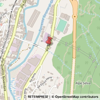 Mappa Via Verta, 33, 28887 Omegna, Verbano-Cusio-Ossola (Piemonte)