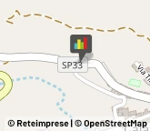 Supermercati e Grandi magazzini,91013Trapani