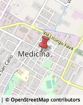 Via Cuscini, 24/28,40059Medicina