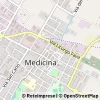 地図 Medicina