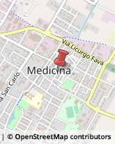 Via Cuscini, 10,40059Medicina