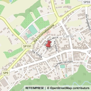 Mappa Via Selene, 8, 12061 Carrù, Cuneo (Piemonte)