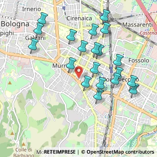 Mappa Via Gianlodovico Bianconi, 40137 Bologna BO, Italia (1.035)