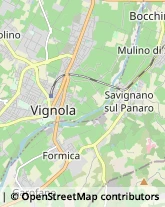 Aziende Agricole Vignola,41058Modena