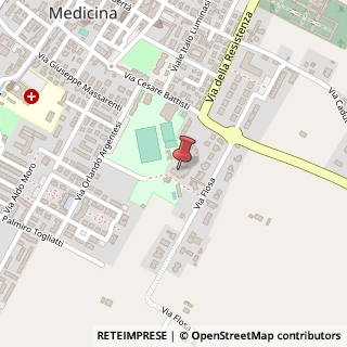 Mappa Via Romilly Sur Seine, 2, 40059 Medicina, Bologna (Emilia Romagna)
