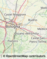 Abbigliamento Bambini e Ragazzi Castel Guelfo di Bologna,40023Bologna