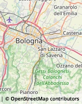 Otorinolaringoiatria - Medici Specialisti Pianoro,40065Bologna