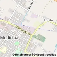 Map Medicina