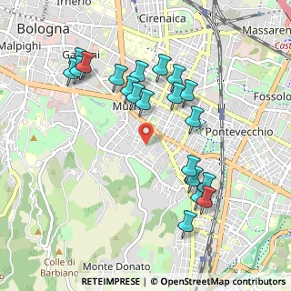 Mappa Via Enrico Caruso, 40137 Bologna BO, Italia (1.0085)