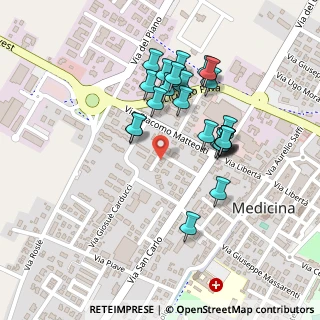 Mappa Via Skofja Loka, 40059 Medicina BO, Italia (0.208)