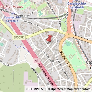 Mappa Via Alessandro Manzoni, 54, 40033 Anzola dell'Emilia, Bologna (Emilia Romagna)