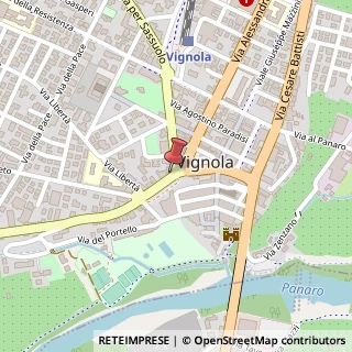 Mappa Via Nino Tavoni, 1, 41058 Vignola, Modena (Emilia Romagna)