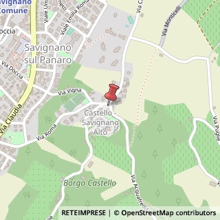 Mappa Piazza Zanantoni, 13, 41056 Savignano sul Panaro, Modena (Emilia Romagna)