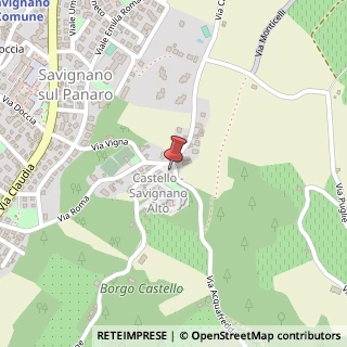 Mappa Piazza Zanantoni, 10, 41056 Savignano sul Panaro, Modena (Emilia Romagna)