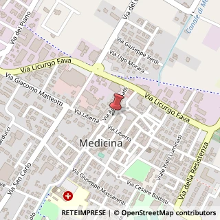 Mappa Via Fornasini, 16, 40059 Medicina, Bologna (Emilia Romagna)