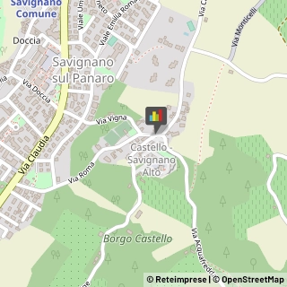 Paste Alimentari - Dettaglio,41056Modena