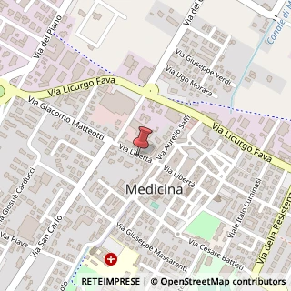 Mappa Via Libertà, 31, 40059 Medicina, Bologna (Emilia Romagna)