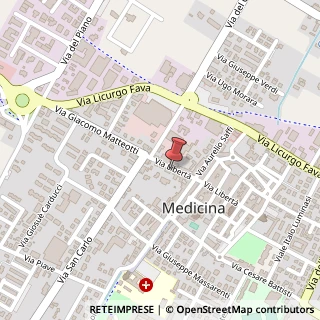 Mappa Via Libertà, 27C, 40059 Medicina, Bologna (Emilia Romagna)
