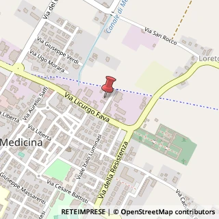 Mappa Via Barletta, 10, 40059 Medicina, Bologna (Emilia Romagna)