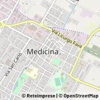 মানচিত্র Medicina