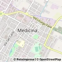 Map Medicina