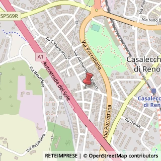 Mappa Via Carlo Goldoni, 4, 40033 Casalecchio di Reno, Bologna (Emilia Romagna)