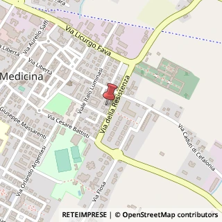 Mappa Via Resistenza, 178, 40059 Medicina, Bologna (Emilia Romagna)