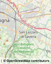 Locali, Birrerie e Pub San Lazzaro di Savena,40068Bologna