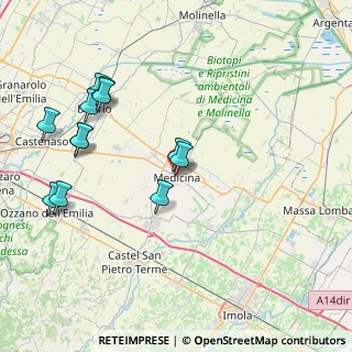 Mappa Via Libertà, 40059 Medicina BO, Italia (8.81667)