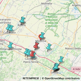 Mappa Via Libertà, 40059 Medicina BO, Italia (10.915)