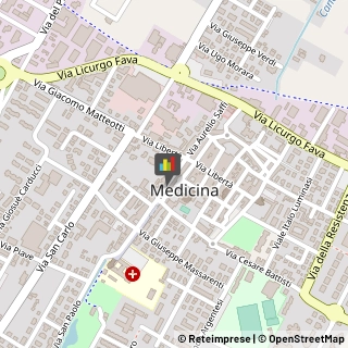 Assicurazioni Medicina,40059Bologna